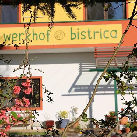 Werkhof Bistrica Apartment Екстериор снимка