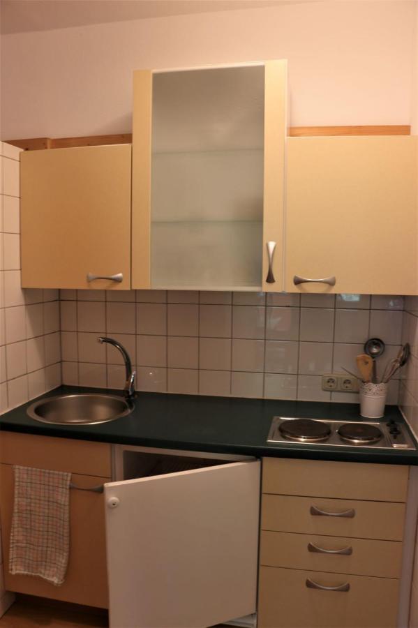 Werkhof Bistrica Apartment Екстериор снимка