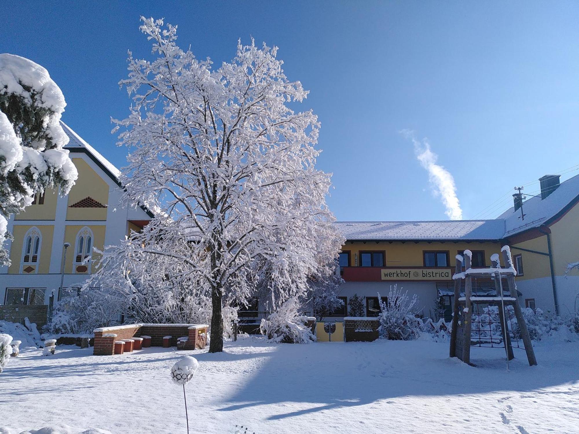Werkhof Bistrica Apartment Екстериор снимка